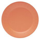 Lot de 10 assiettes en carton orange Ø23cm