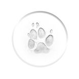 Kit d'empreintes animaux 7 pcs chien ou chat