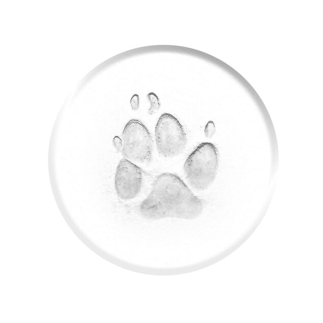 Kit d'empreintes animaux 7 pcs chien ou chat