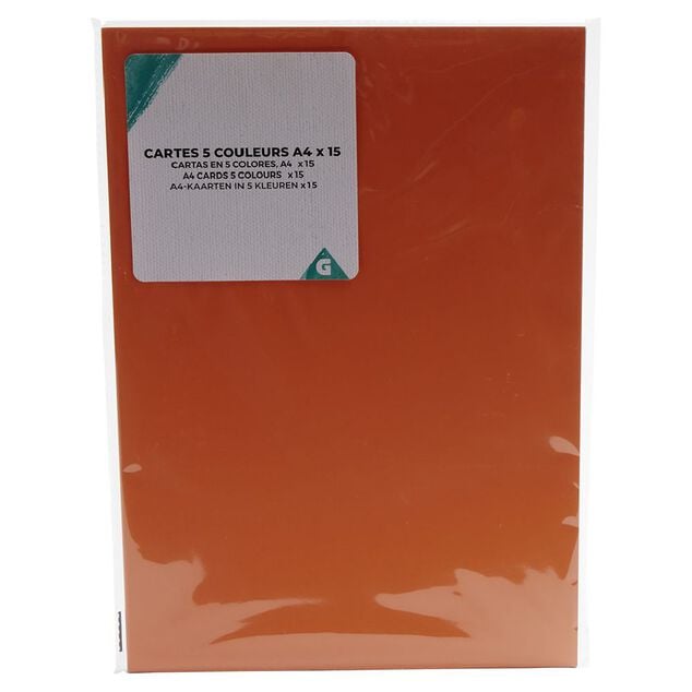 Carte A4 x15