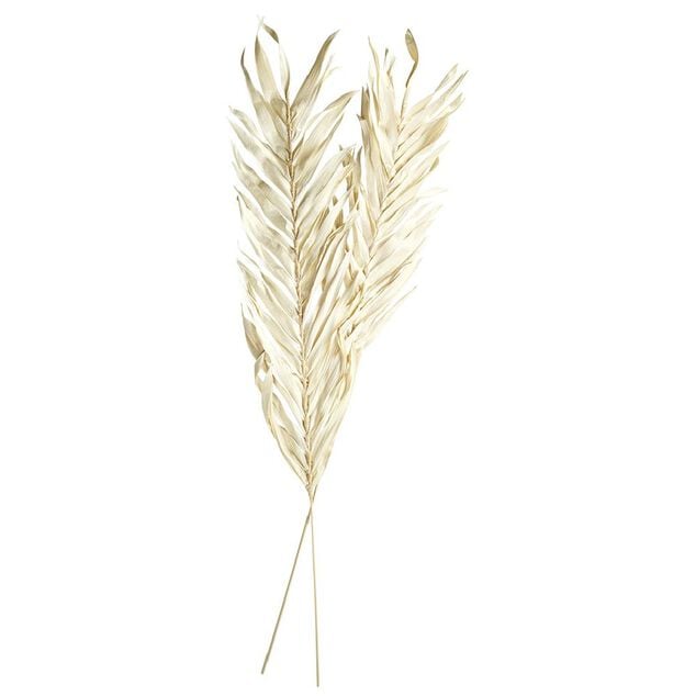 Feuille s&eacute;ch&eacute;e naturelle x2