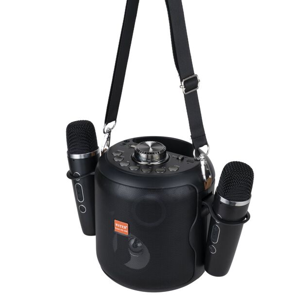 Enceinte karaoké bluetooth avec micro x2 lumineuse Homday H149cm 15W