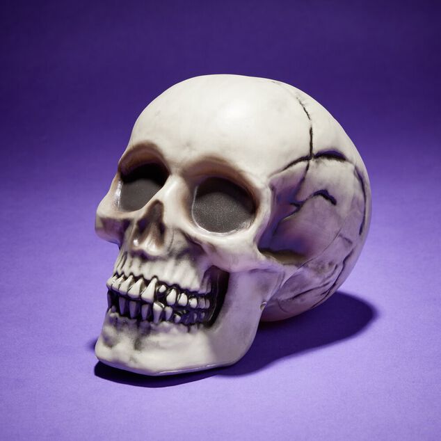 Cr&acirc;ne d&eacute;coration Halloween 19x15xH16cm