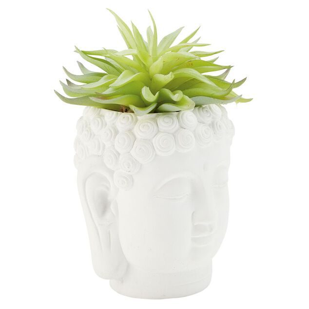 T&ecirc;te Bouddha avec plante