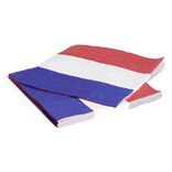 Lot de 10 serviette de table Happy Party bleu blanc rouge 33x33cm