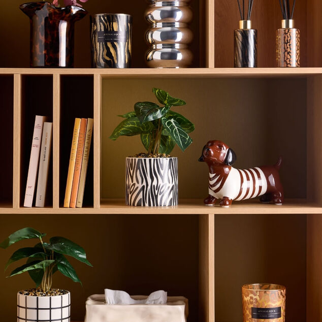 Collection Audace R&eacute;tro