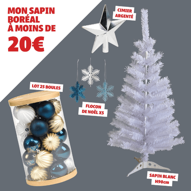 Sapin Bor&eacute;al &agrave; moins de 20&euro; !
