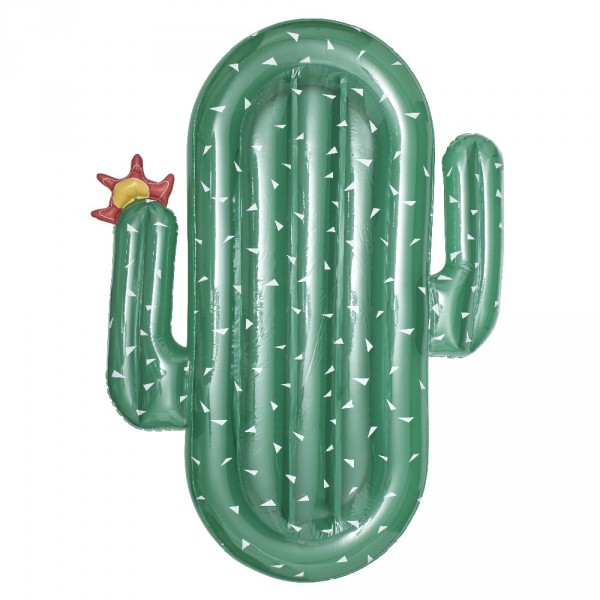 RÃ©sultat de recherche d'images pour "matelas-gonflable-cactus-vert gifi"