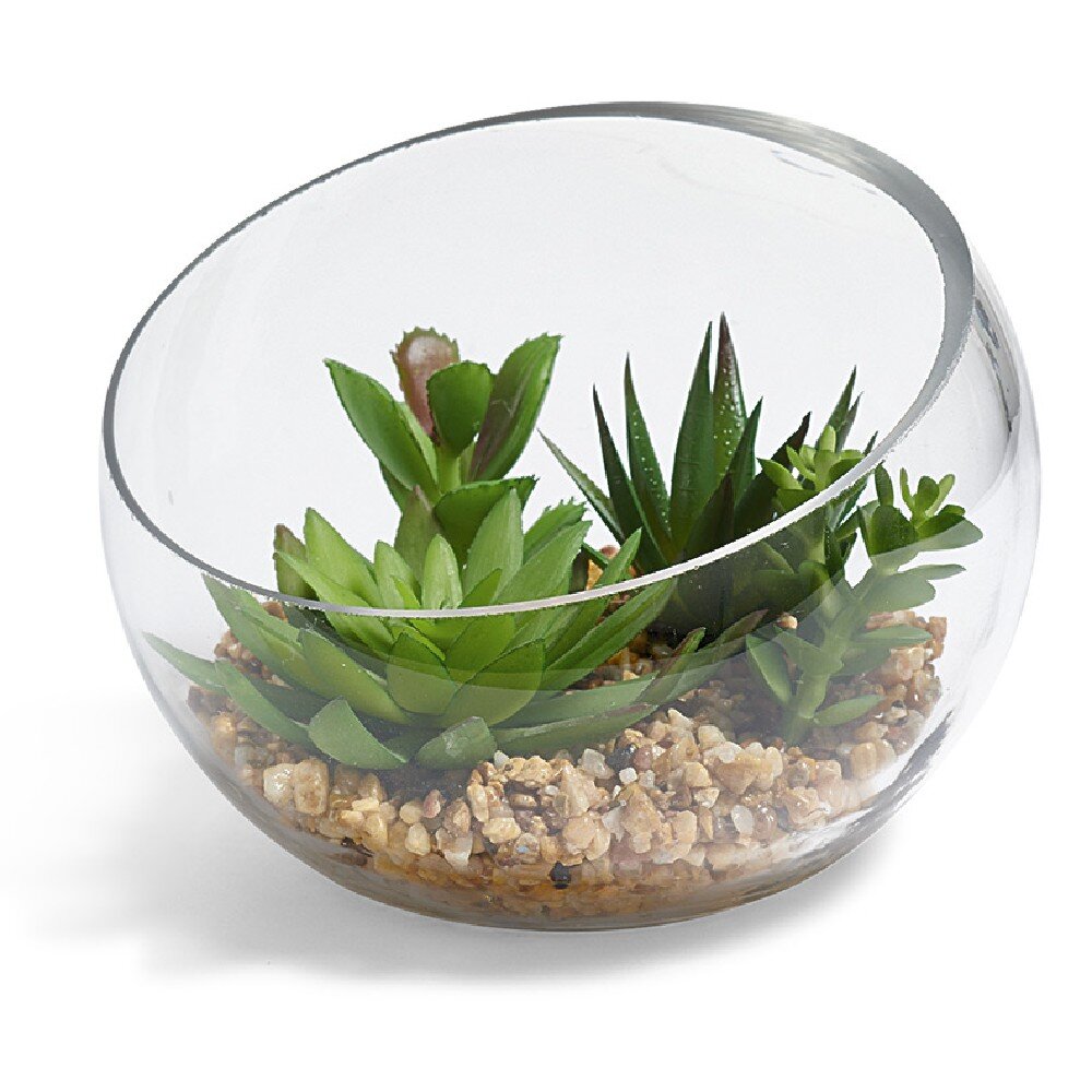 Plante grasse artificielle demi sphère en verre GIFI